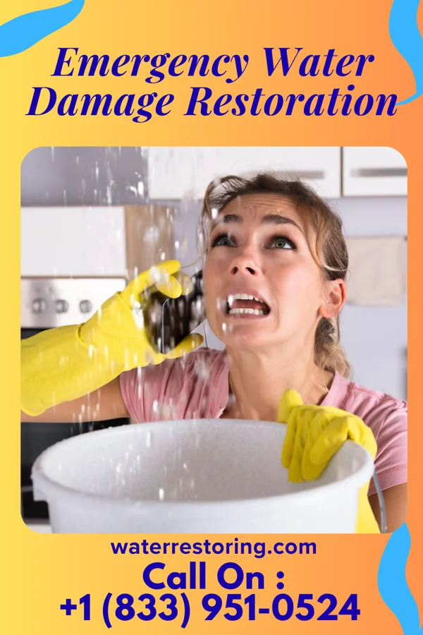 Emergency Water Damage Restoration in Glen Lyn, VA