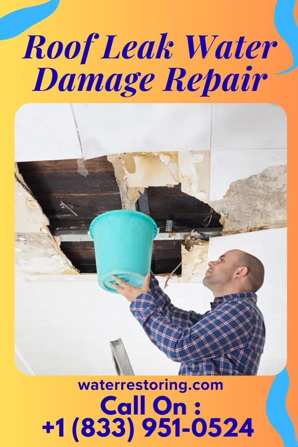 Roof Leak Water Damage Repair in Glen Lyn, VA