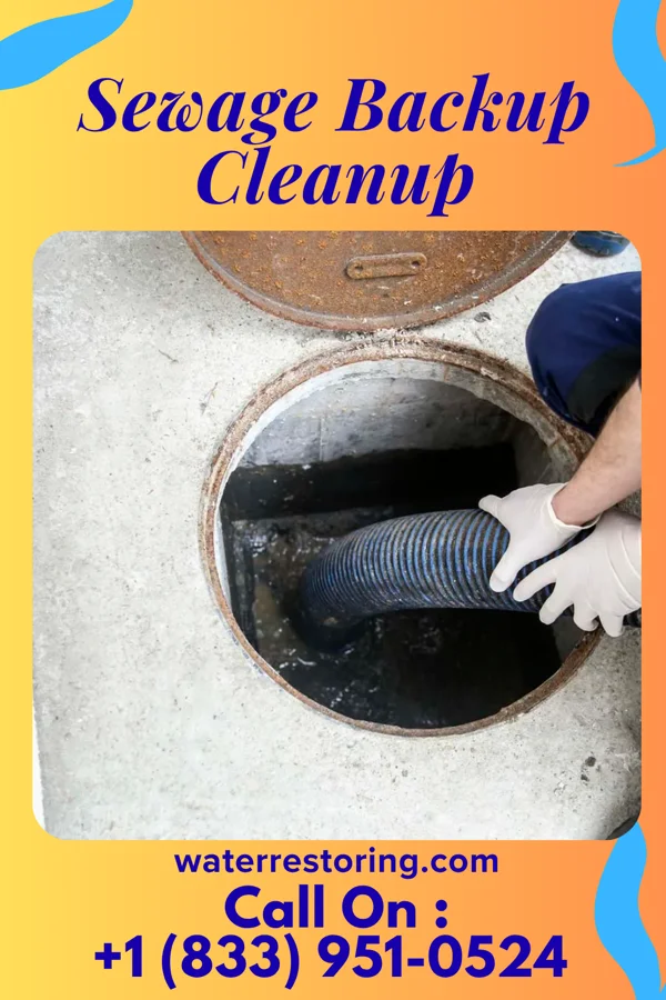 Sewage Backup Cleanup in Glen Lyn, VA